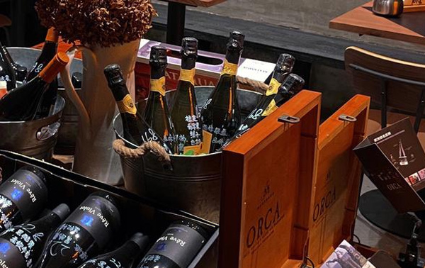 What are the essential functions of a professional wine cabinet