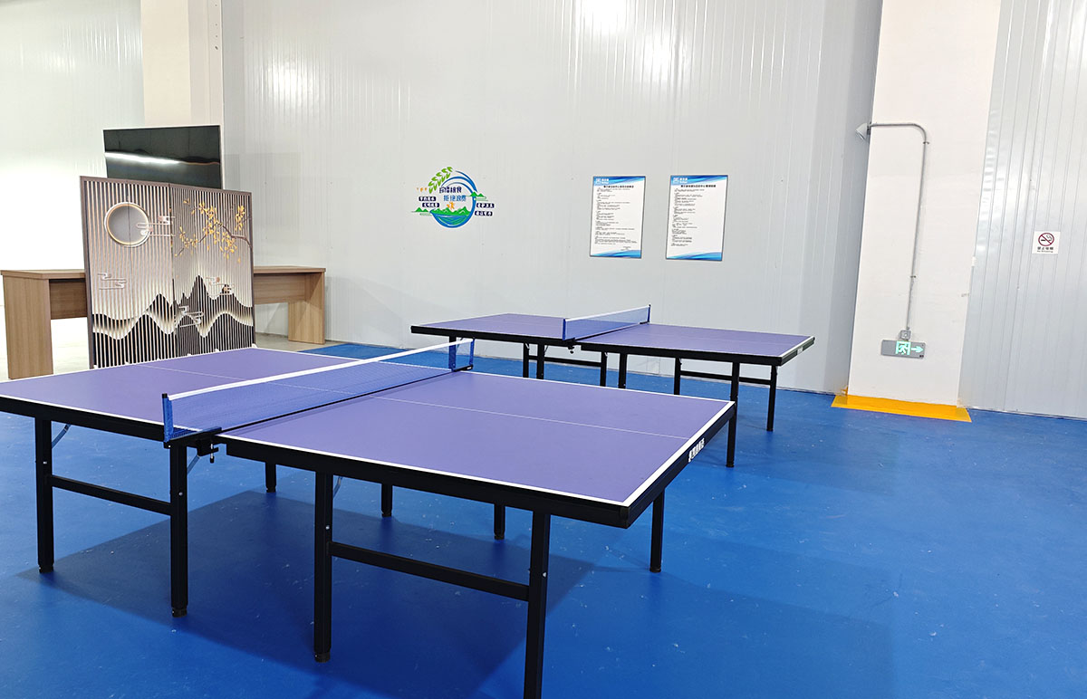 ping pong room